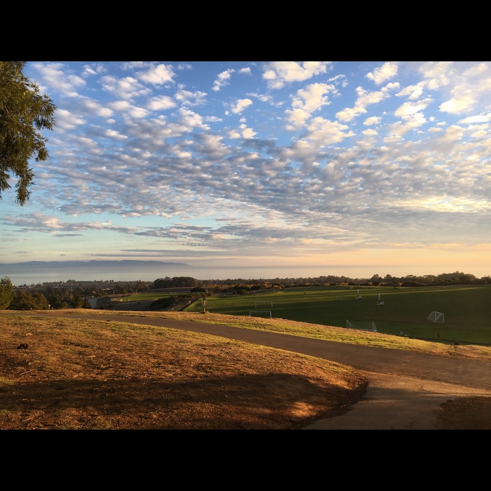 Meet your Posher, Mia